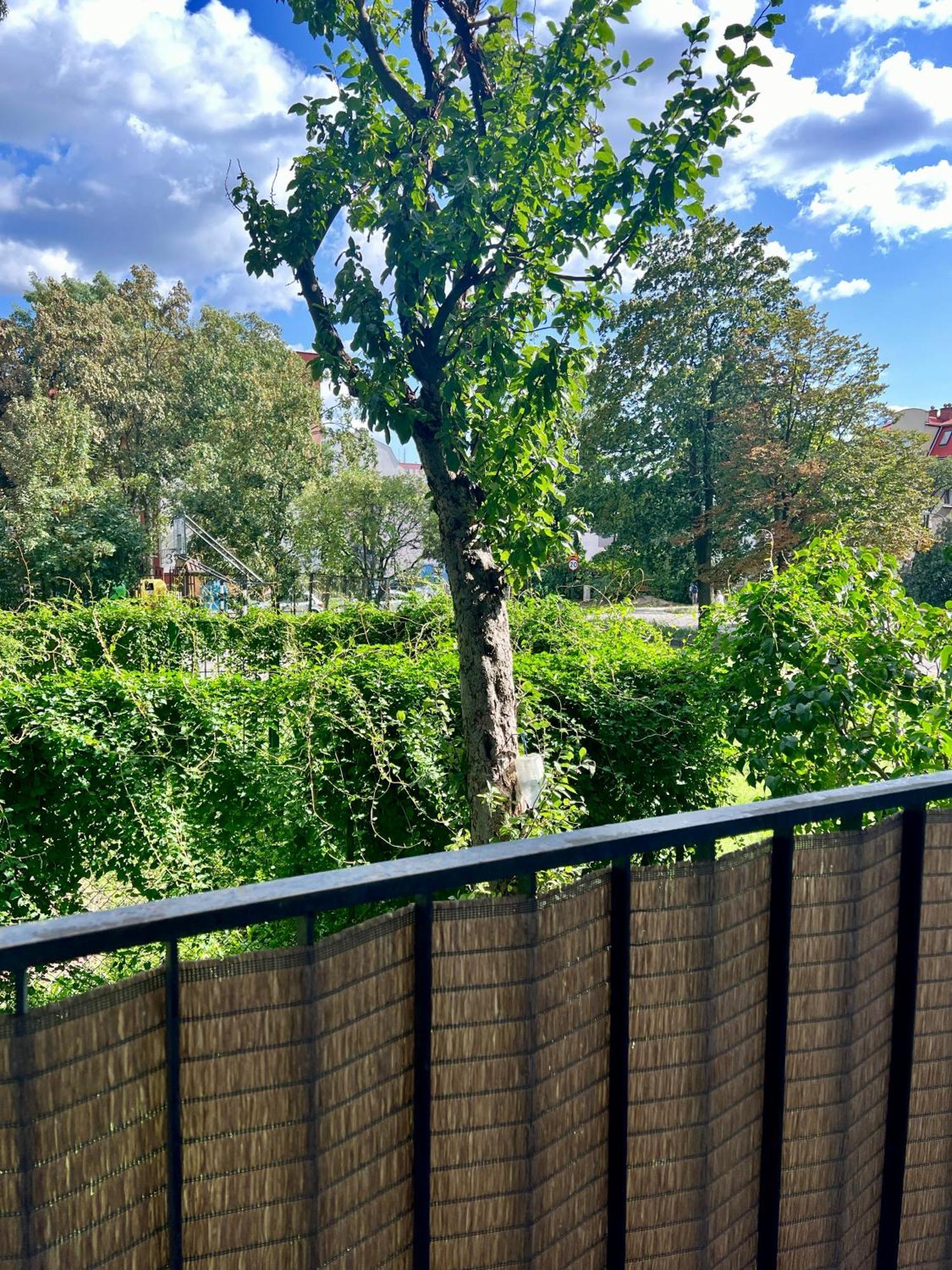 M&S Lux Apartments Kochanowskiego Łódź Exteriör bild